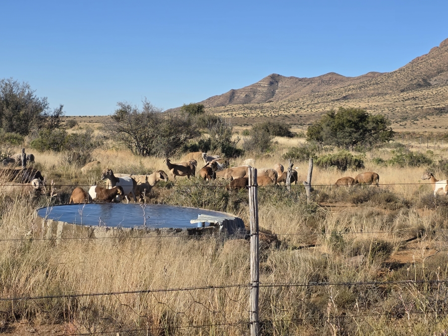 0 Bedroom Property for Sale in Middelburg Rural Eastern Cape